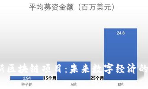 2051最新区块链项目：未来数字经济的前沿探索