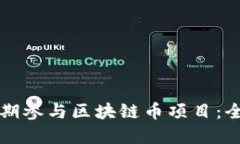 如何早期参与区块链币项