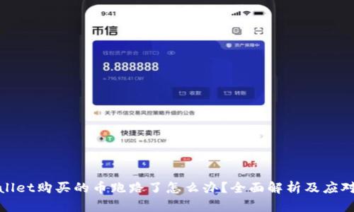 tpWallet购买的币跑路了怎么办？全面解析及应对策略
