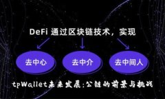 tpWallet未来发展：公链的前