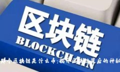 当年那个区块链是什么币
