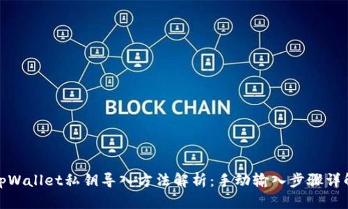 tpWallet私钥导入方法解析：手动输入步骤详解