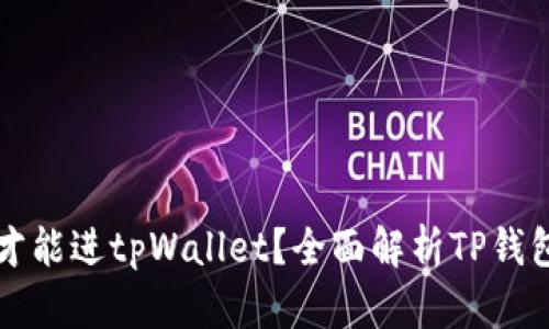什么样条件的币才能进tpWallet？全面解析TP钱包的代币准入标准