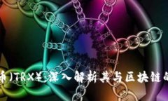 波场币（TRX）：深入解析