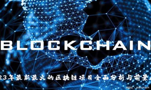 2023年最新最火的区块链项目全面分析与前景展望