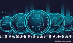 区块链37集币的深度解析：