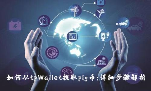 如何从tpWallet提取pig币：详细步骤解析