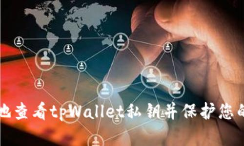 如何安全地查看tpWallet私钥并保护您的数字资产