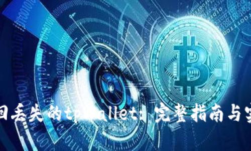 如何找回丢失的tpWallet: 完整指南与实用技巧
