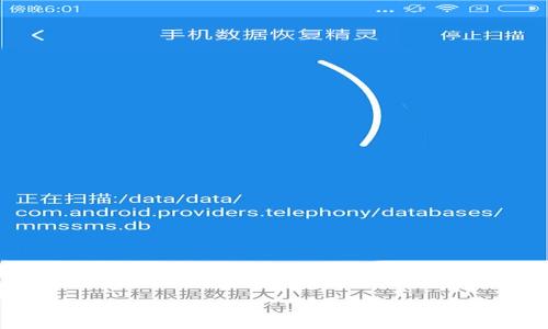 
如何下载并安装tpWallet内测版：全面指南