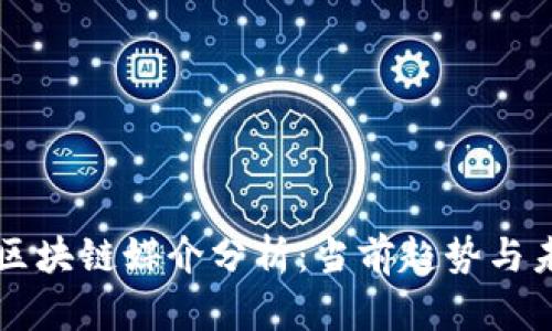 比特币区块链媒介分析：当前趋势与未来展望