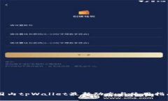 国内tpWallet最新动态与使用