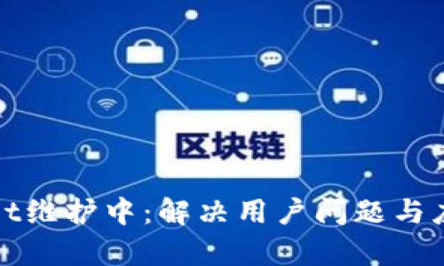 tpWallet维护中：解决用户问题与应对策略