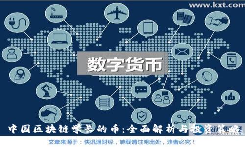 中国区块链学长的币：全面解析与投资策略