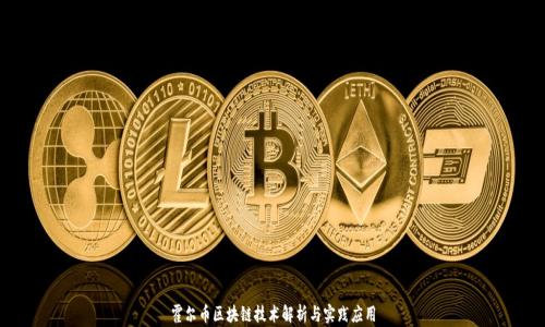 
霍尔币区块链技术解析与实践应用