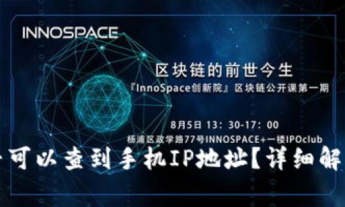 tpWallet登录是否可以查到手机IP地址？详细解析与常见问题解答