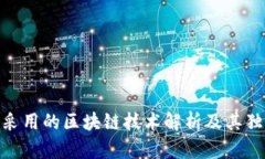 Pi币采用的区块链技术解析