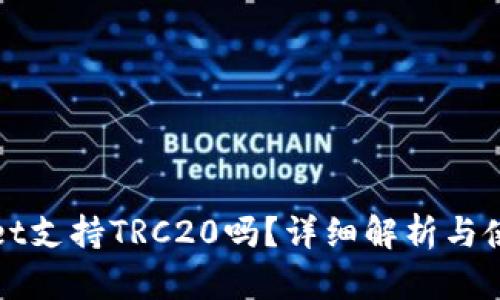 tpWallet支持TRC20吗？详细解析与使用指南