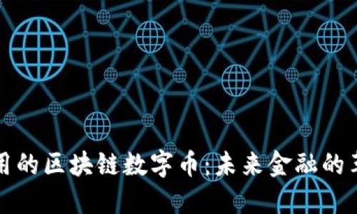 落地应用的区块链数字币：未来金融的革新之路