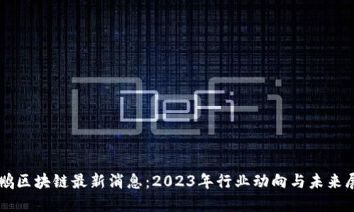 彭鹏区块链最新消息：2023年行业动向与未来展望