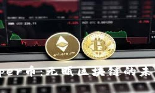 深入剖析Zipper币：无眠区块链的未来发展与应用