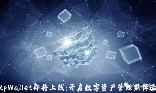 
tpWallet即将上线：开启数字资产管理新体验