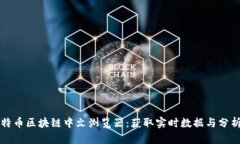 深入了解比特币区块链中