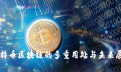 比特币区块链的多重用处