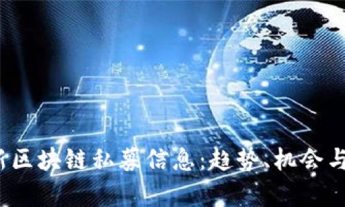 2023最新区块链私募信息：趋势、机会与风险解析