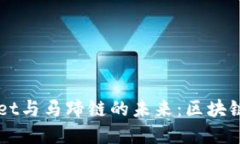 深入研究tpWallet与马蹄链的