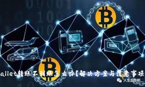 tpWallet转账不到账怎么办？解决方案与注意事项解析