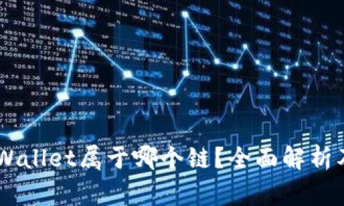 Doge币TPWallet属于哪个链？全面解析及相关知识