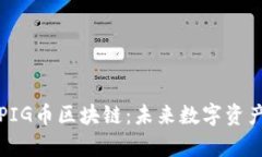 深度解析PIG币区块链：未