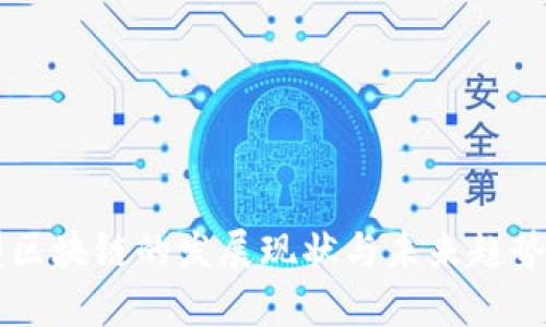 新型区块链的发展现状与未来趋势解析