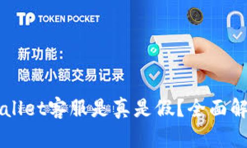 电报上的tpWallet客服是真是假？全面解析与辨别技巧