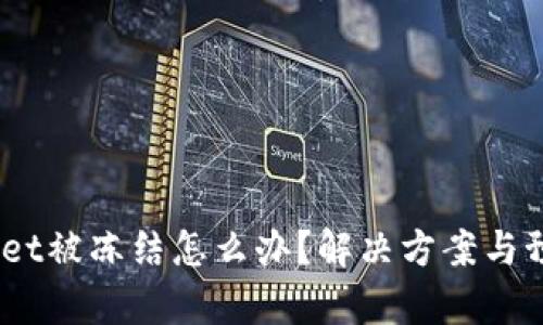 :tpWallet被冻结怎么办？解决方案与预防措施