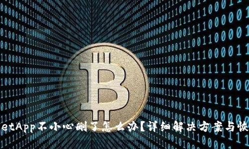 tpWalletApp不小心删了怎么办？详细解决方案与恢复技巧