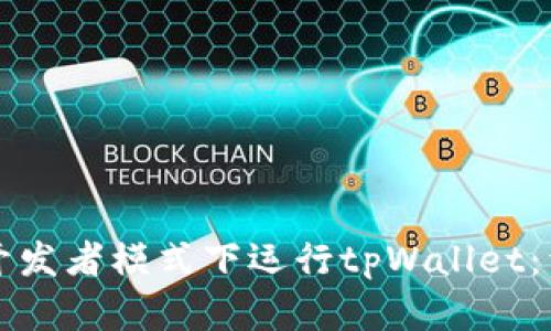 如何在开发者模式下运行tpWallet：详细指南