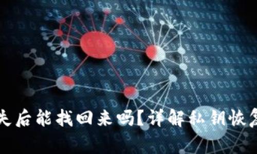 tpWallet私钥丢失后能找回来吗？详解私钥恢复方法与注意事项