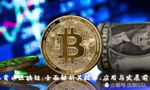 林肯币区块链：全面解析其技术、应用与发展前景