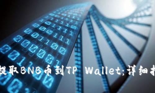 如何从交易所提取BNB币到TP Wallet：详细指南与注意事项