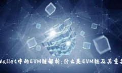 tpWallet中的EVM链解析：什么