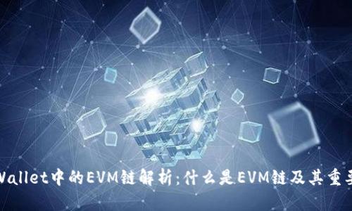 tpWallet中的EVM链解析：什么是EVM链及其重要性